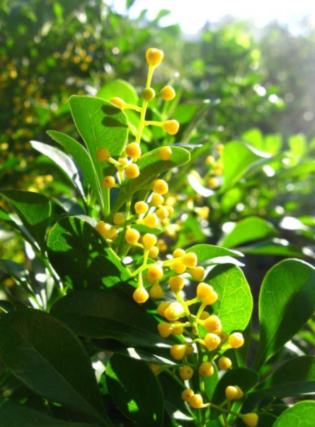 耐酸磚，盲道磚，陶瓷透水磚源頭生產廠家到底適不適合參加展會